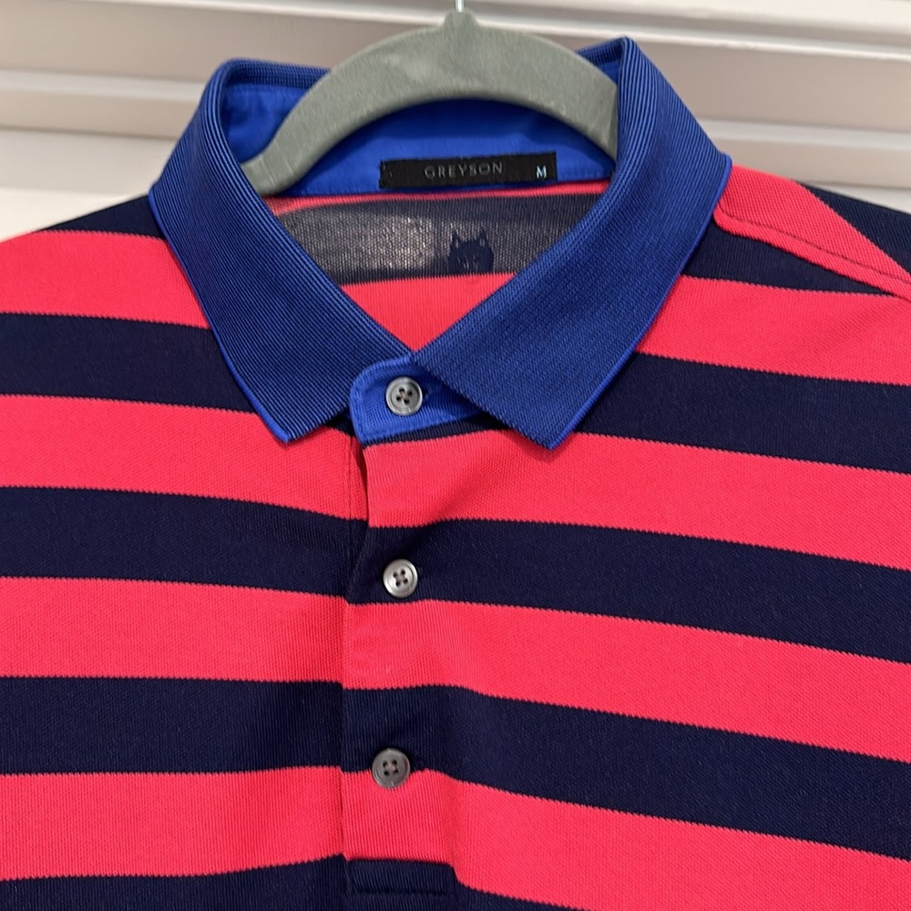 Greyson Polo - Picture 2 of 2